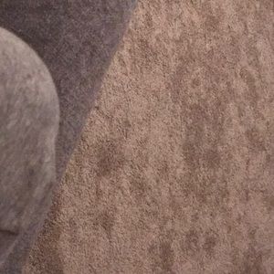 Meet your Posher, Sofia